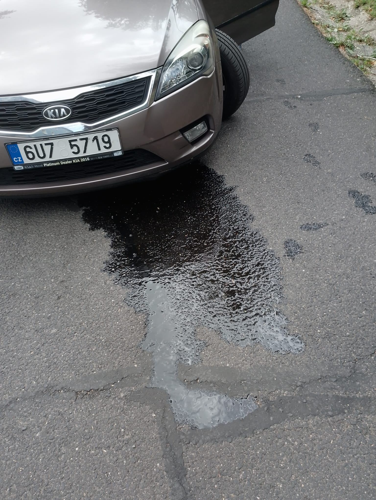 IMG-20250711-WA0007