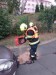 IMG-20250711-WA0006